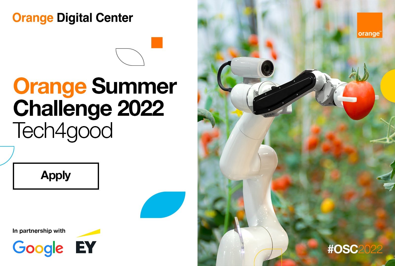 orange summer xhallange 2022